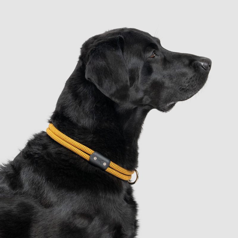 atlas pet company lifetime collar fixed length lifetime warranty climbing rope dog collar 12