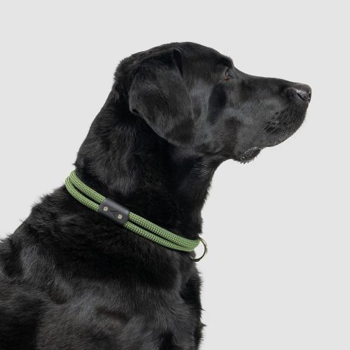 atlas pet company lifetime collar fixed length lifetime warranty climbing rope dog collar 14