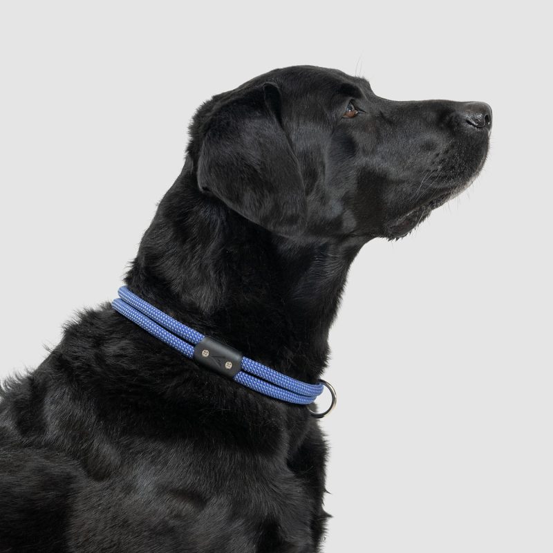 atlas pet company lifetime collar fixed length lifetime warranty climbing rope dog collar 6