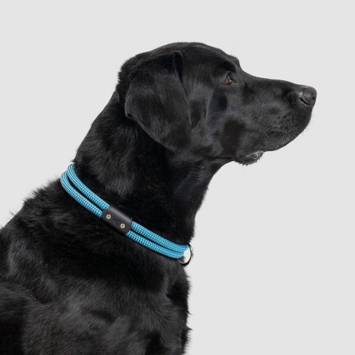 atlas pet company lifetime collar fixed length lifetime warranty climbing rope dog collar 8