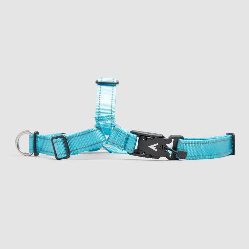 atlas pet company lifetime harness no pull harness with lifetime warranty for active dogs handmade in colorado --glacier