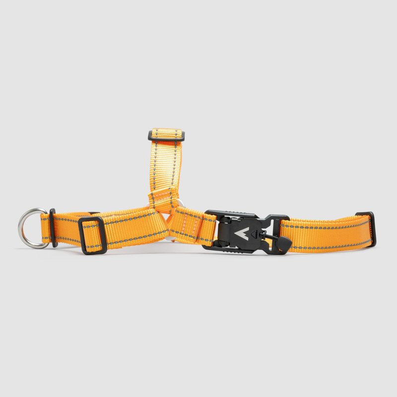 atlas pet company lifetime harness no pull harness with lifetime warranty for active dogs handmade in colorado --honey