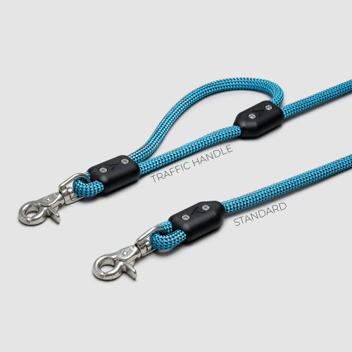 atlas pet company lifetime leash warranty climbing rope leash glacier label