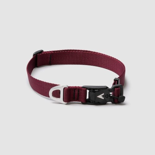 atlas pet company lifetime lite collar adjustable lifetime warranty dog collar with traditional fit --maroon