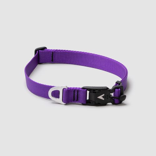 atlas pet company lifetime lite collar adjustable lifetime warranty dog collar with traditional fit --violet