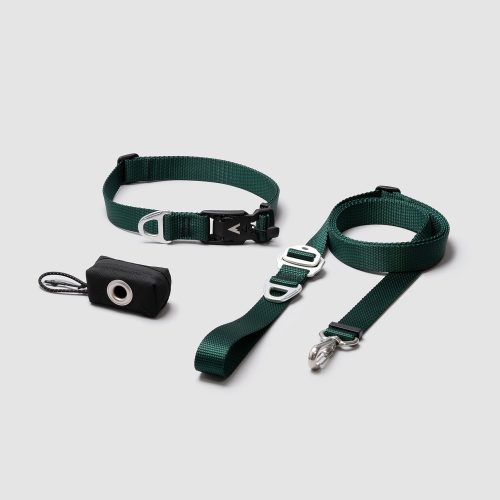 atlas pet company lifetime lite kit with lifetime warranty adjustable dog leash collar and pouch --forest