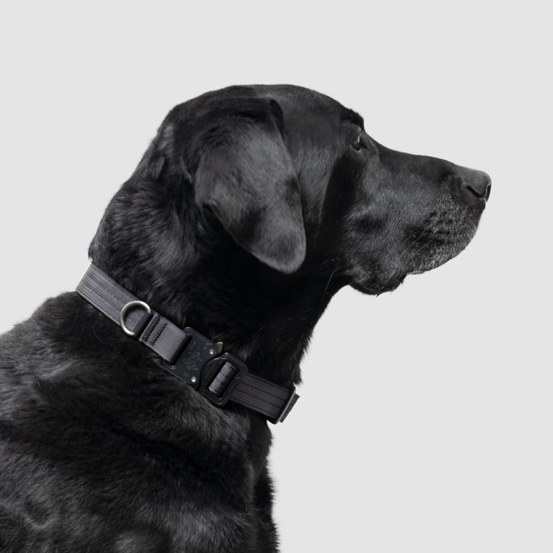 atlas pet company lifetime pro collar 1 inch tactical dog collar 6 316575bb aa35 48c0 89c2 89bb550bedfc