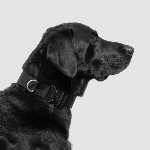 atlas pet company lifetime pro collar customizable tactical dog collar for working dogs 2