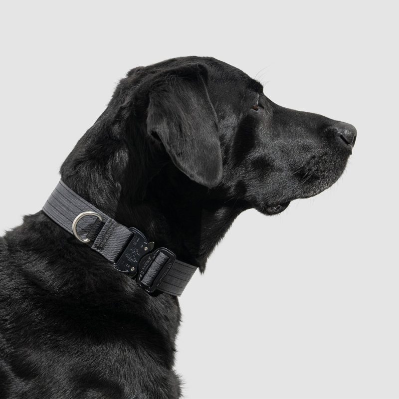 atlas pet company lifetime pro collar customizable tactical dog collar for working dogs 5