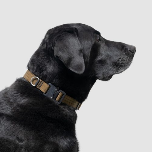 atlas pet company lifetime pro collar tactical dog collar 10