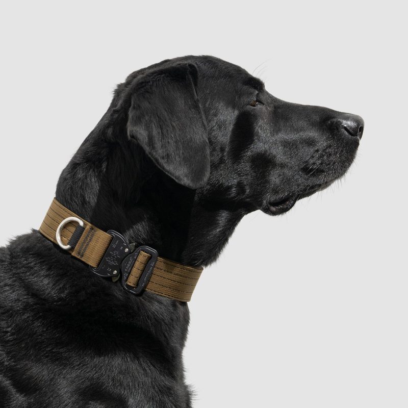 atlas pet company lifetime pro collar tactical dog collar 12